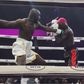 'I am Mayweather now' — Carter Efe breaks silence after easy ₦50m Portable win