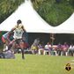 Jinja Hippos pay the price for compalency as Heathens date Kobs in semis