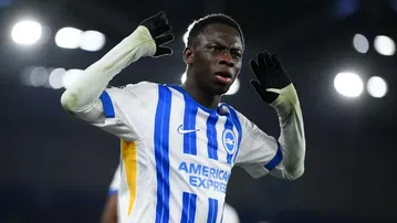 Brighton Star Yankubah Minteh: Why Gambia Will Find it Hard Facing Harambee Stars at Kasarani Stadium