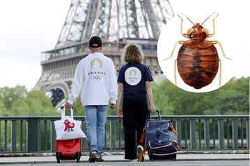 Paris 2024 Olympics: Bedbug invasion threatens to sour medal hunt for athletes in French capital