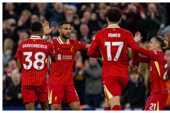 Liverpool too good for Brighton