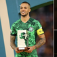 You’ll need it from them – William Troost-Ekong singles out 2 Super Eagles stars who can inspire 'upcoming African best'