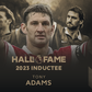 Tony Adams joins Premier League Hall of Fame alongside Ferdinand and Cech