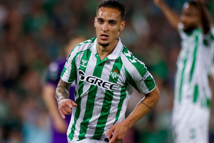 Antony. Photo. Imago