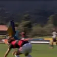 Parrot attacks player, forces 2 stoppages during football match