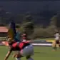 Parrot attacks player, forces 2 stoppages during football match