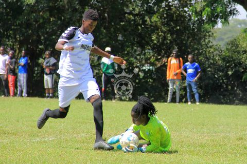 She Corporates to start life in Elite League against Tooro Queens