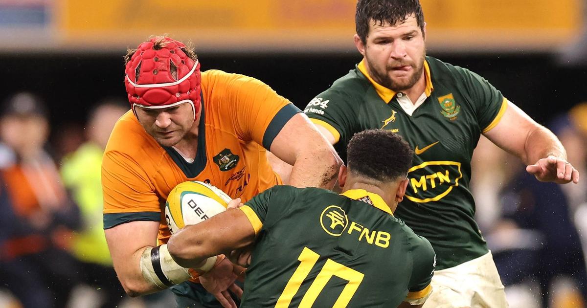 Springboks eye northern hemisphere sweep with spotlight on half-back ...