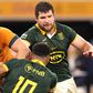 Springboks eye northern hemisphere sweep with spotlight on half-back selection
