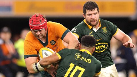 Springboks eye northern hemisphere sweep with spotlight on half-back selection