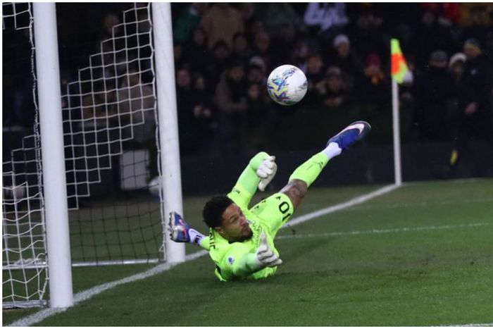 Super Eagles goalkeeper's 'down low' save earns praise: Okoye delivers spectacular stop