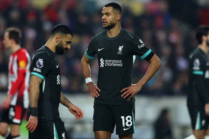 Cody Gakpo and Mohamed Salah | Imago