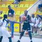 Lady Jaguars, Dolphins set to collide in a heavyweight clash