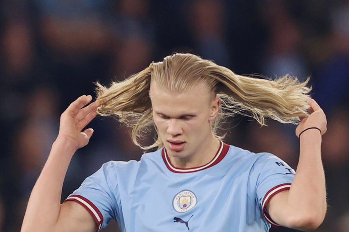 Erling Haaland has now scored more goals in a single season than anyone else in PL history.