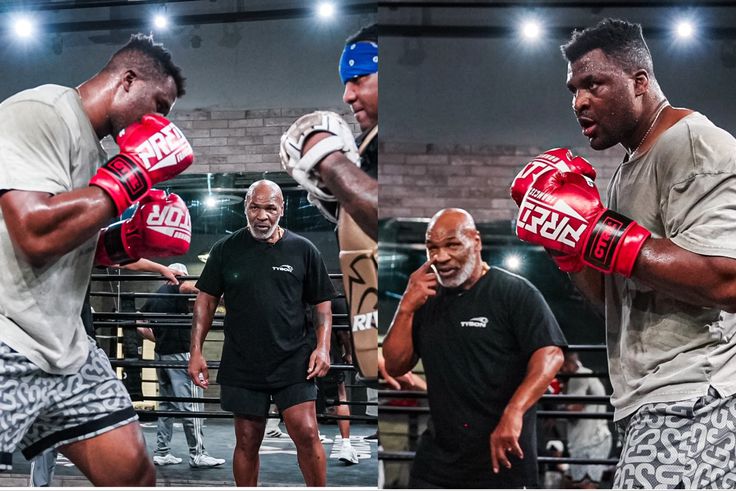 Ngannou, who has been honing his boxing abilities but has spent his entire career in the MMA world, will be likely to lose to Fury.
