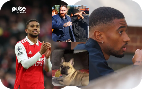 OFFICIAL: Arsenal sign dog, name revealed - Football