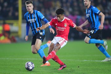 Benfica vs Club Brugge UCL betting tips and odds