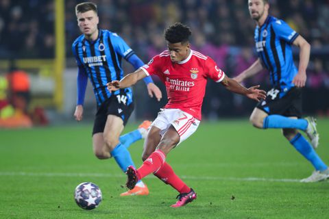 Benfica vs Club Brugge UCL betting tips and odds