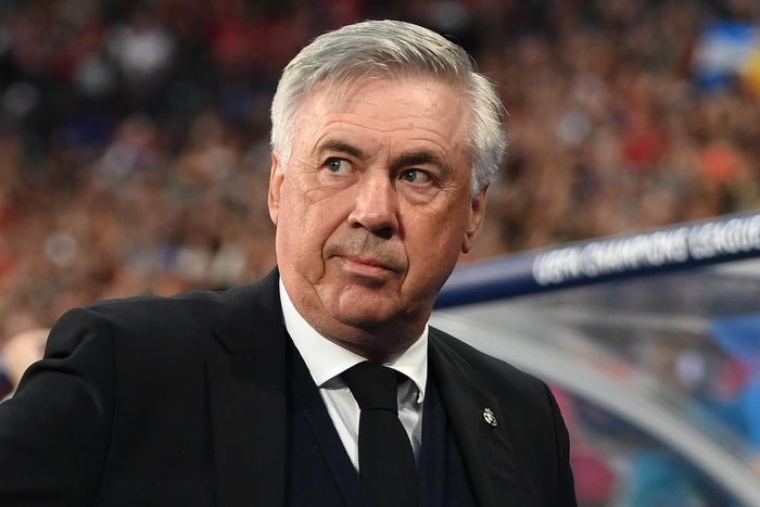 Real Madrid's Carlo Ancelotti agrees to join Brazil national team