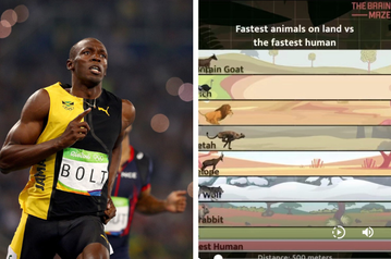 'Ouch' - Usain Bolt reacts after being compared to 3D simulation of fastest land animals on earth