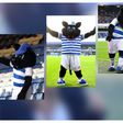 QPR's Mascot Jude the Cat fired