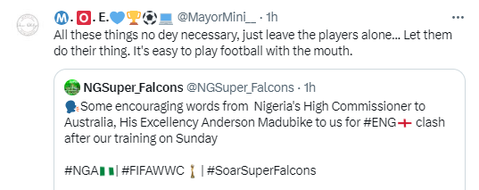 Some Nigerian football fans questioned the visit of the High Commissioner to Australia to the Super Falcons camp.