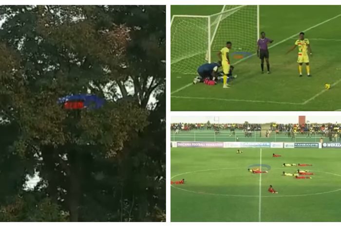 Bee swarm attacks footballers during match