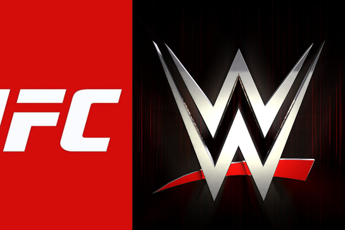 TKO Reports $1.7 Billion Profit Post UFC-WWE Merger