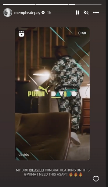 Davido Puma