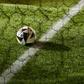 Top Ten Pieces of Sports Betting Terminology That You Must Know When Engaging
