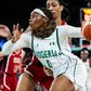 Ezinne Kalu and Amy Okonkwo have the game of their lives as D'Tigress make Nigeria proud with Paris 2024 Olympics exit against USA. (FIBA)