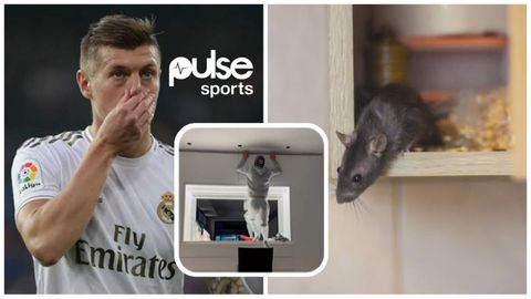 VIDEO: Real Madrid Midfielder Toni Kroos seen catching a Rat, Fans react