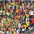 Ghanaian fans at the 2022 FIFA World Cup in Qatar |Pulsesports.ng