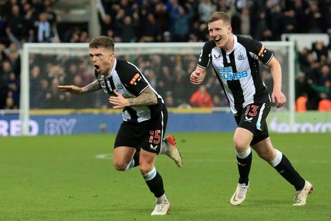 Newcastle rock Everton to climb out of relegation zone