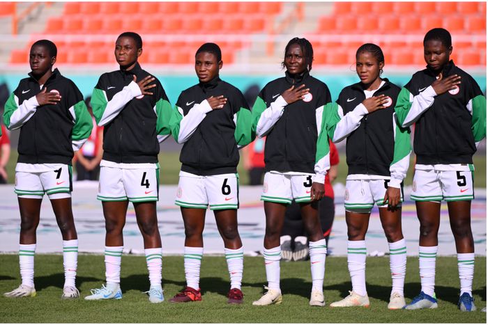 Flamingos of Nigeria.