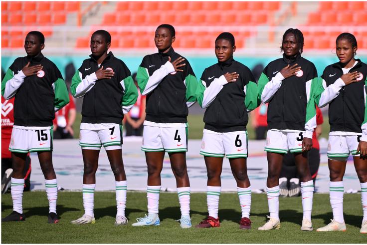 Flamingos of Nigeria.