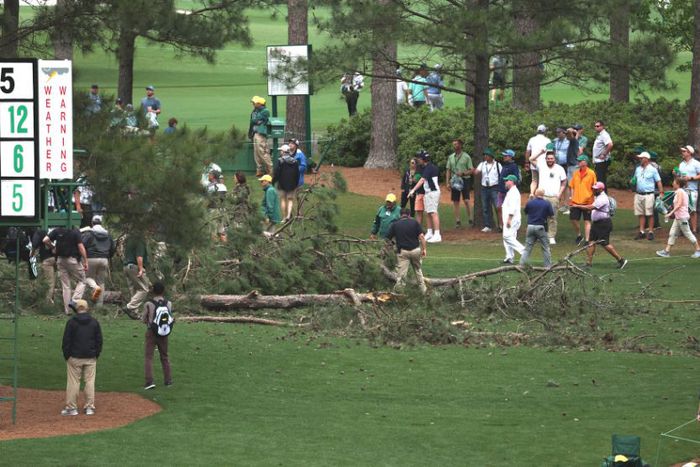 Trees knocked down during the day 2 of the 2023 Masters golf tournament at the Augusta.