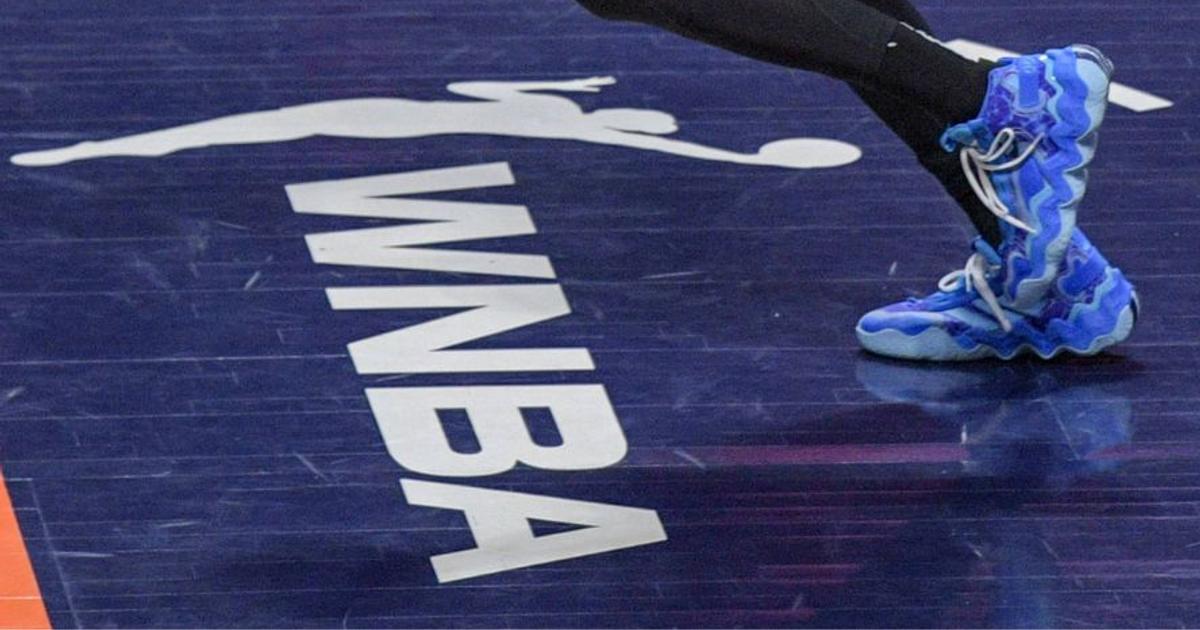 Truth Behind Sex Toys Thrown on the Court at WNBA Games | Pulse Sports ...