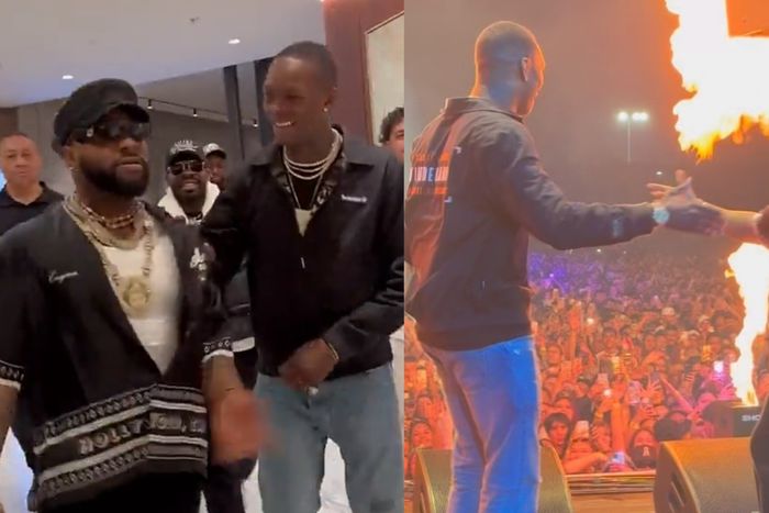 Davido's partnership with Adesanya allowed him to connect with a new group of fans who were particularly interested in sports and the UFC.