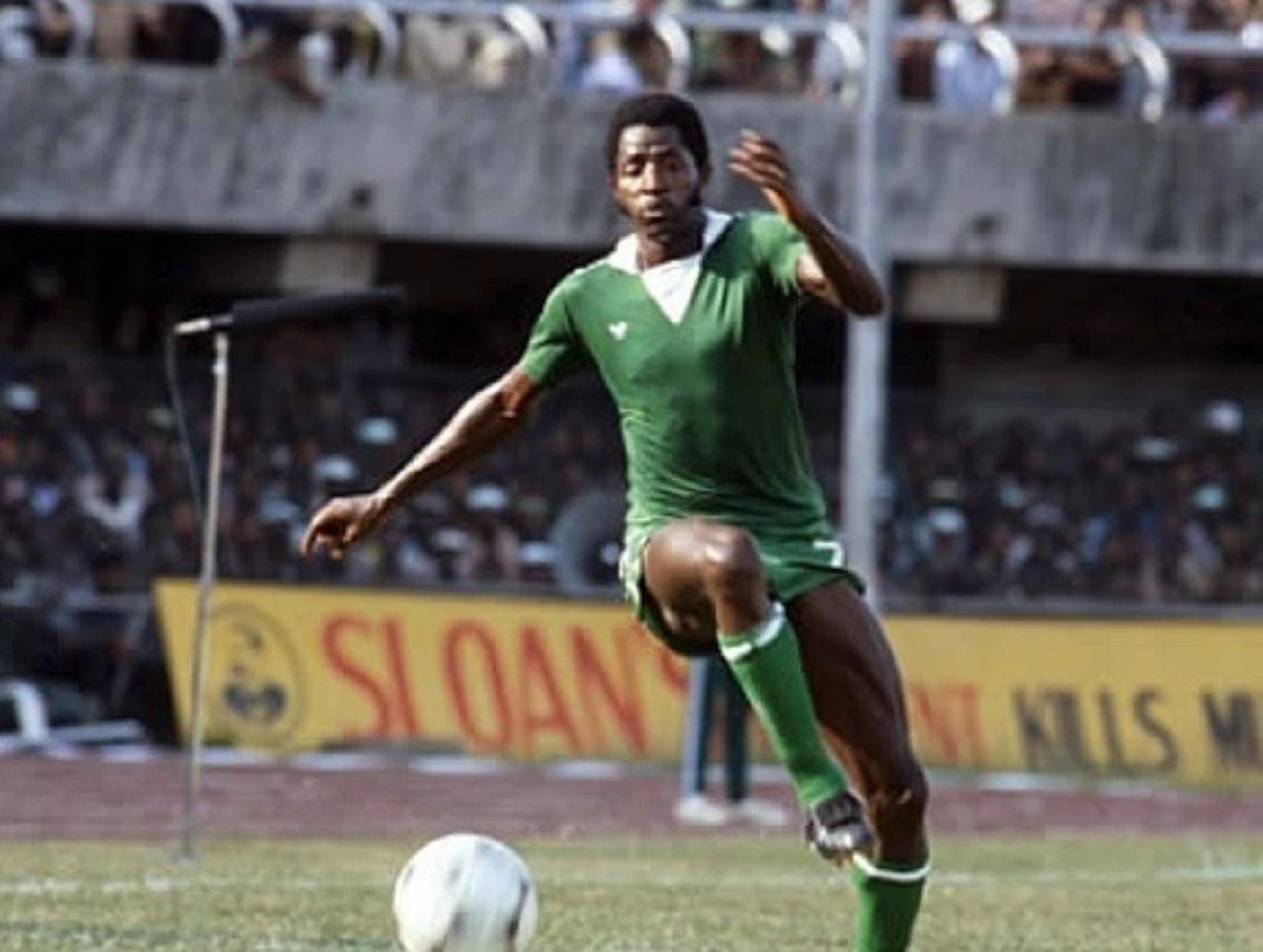 Segun Odegbami is number 2 on the Top 10 Super Eagles all-time top scorers list