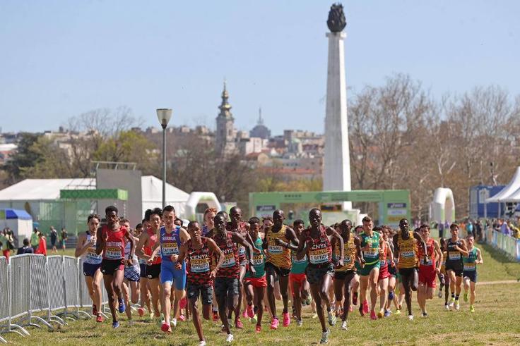 Where to Watch the World Athletics Cross Country Championships Tallahassee 26 Live