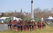 Where to Watch the World Athletics Cross Country Championships Tallahassee 26 Live