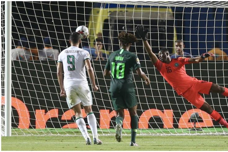 Algeria vs Nigeria: Five things you need to know