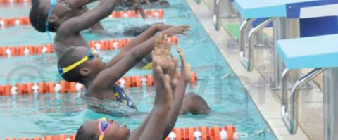 Dolphin Swimming League  to hold Saturday in Lagos