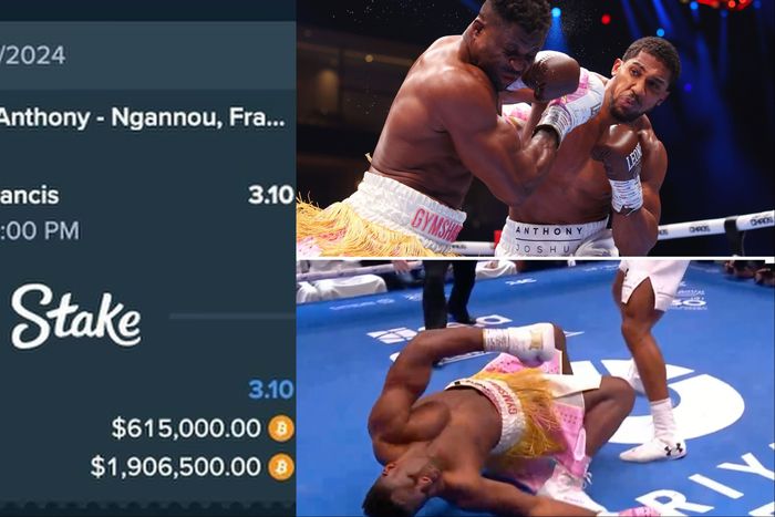 Almost 1 billion naira was lost by Drake betting on Francis Ngannou to beat Anthony Joshua.