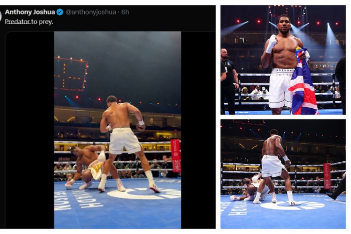 Anthony Joshua trolls Francis Ngannou
