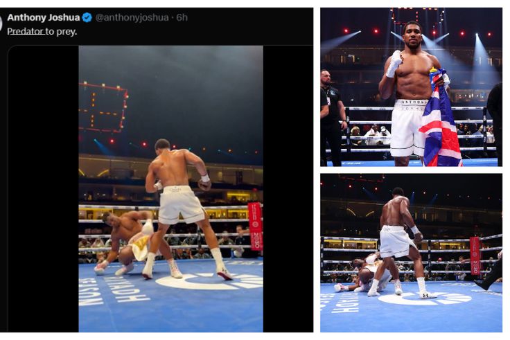 Anthony Joshua trolls Francis Ngannou