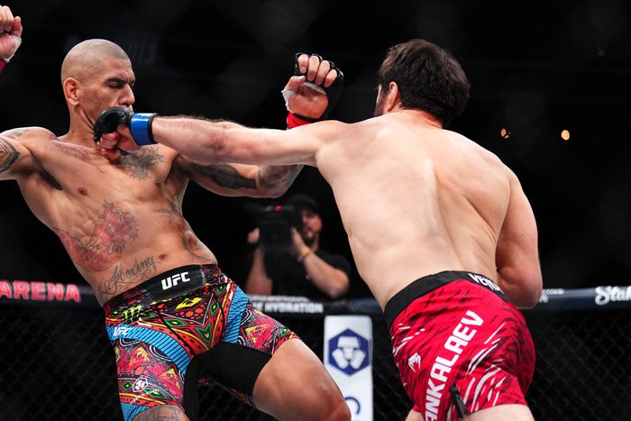 It went to the judges, but Magomed Ankalaev did enough to take out Alex Pereira at UFC 313 and became the new light heavyweight champion.