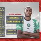 The Pulse Sports Super Eagles Player Ratings system