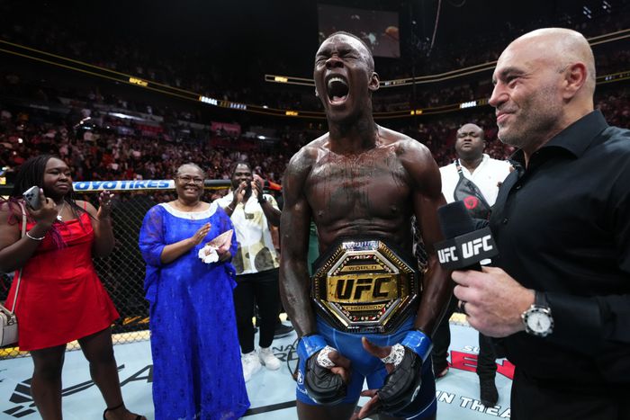 The Nigerian flag was on display as Israel Adesanya reclaimed the UFC Middleweight title from Alex Pereira